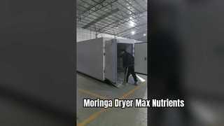 Coattech 7-HP-Wärmepumpentrockner | Industrielle Moringa-Dehydrierung